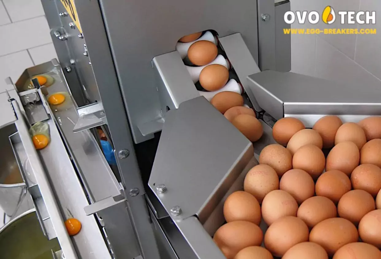 промышленный разделитель яйца на желток и белок RX-0 ovo tech